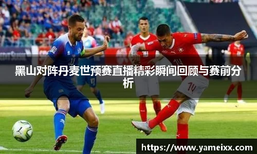 黑山对阵丹麦世预赛直播精彩瞬间回顾与赛前分析