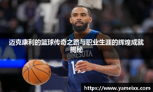 JN体育
